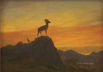 Animal Painting - OVEJAS DE LAS MONTAÑAS ROCOSAS Animal americano Albert Bierstadt